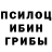 Галлюциногенные грибы прущие грибы Alexey Voropaev